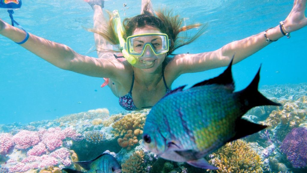 snorkelling-hero | Airlie Beach Eco Cabins